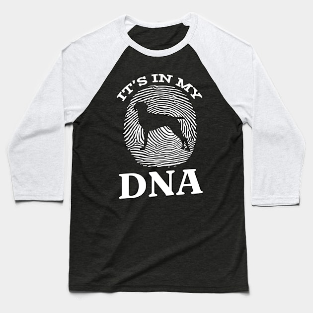 Old Danish Pointer It`s In My DNA Baseball T-Shirt by Shirtjaeger